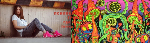 шишки Абдулино